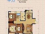綠地四期B5-704號。2019年5月份交房。